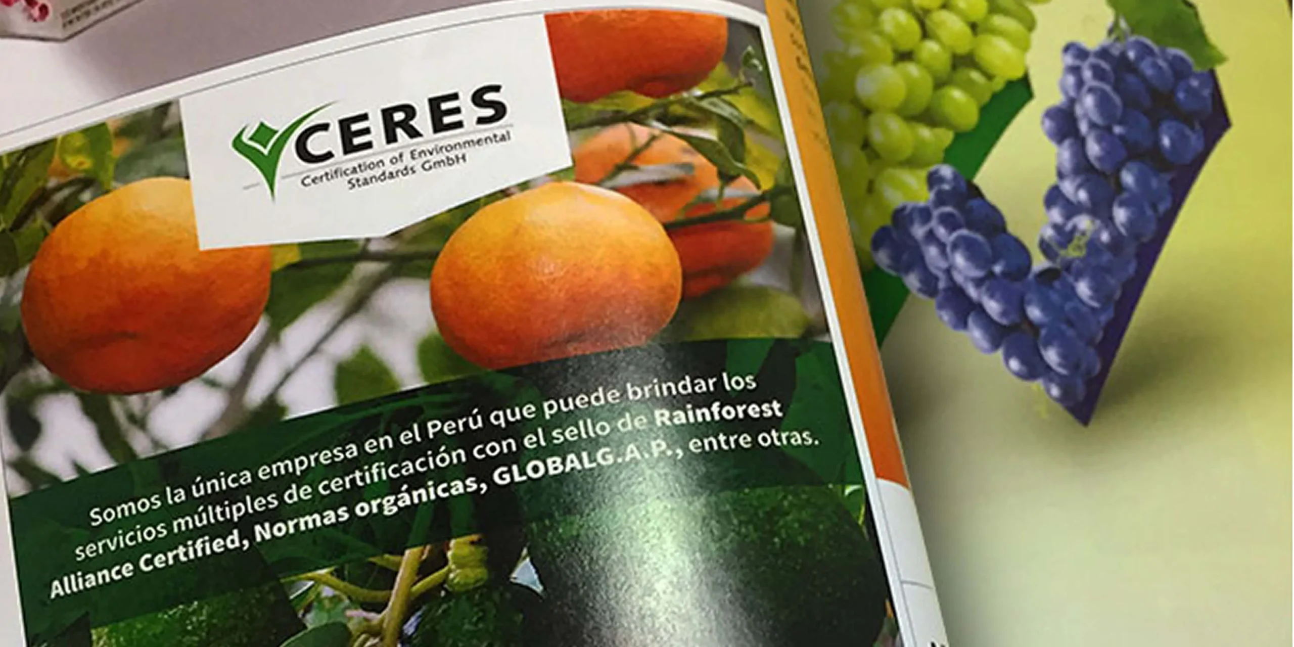 ceres_05