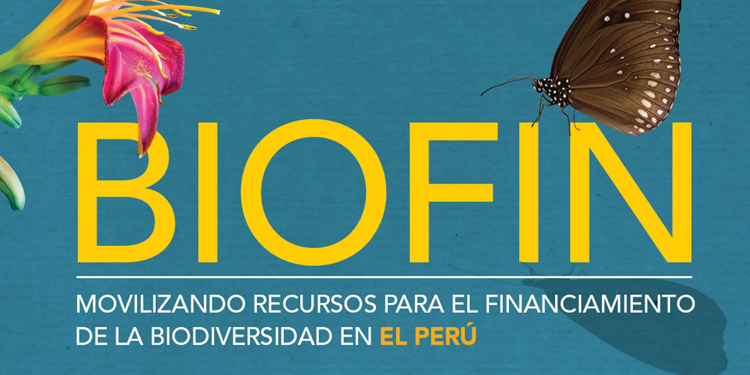 grupo_15_1