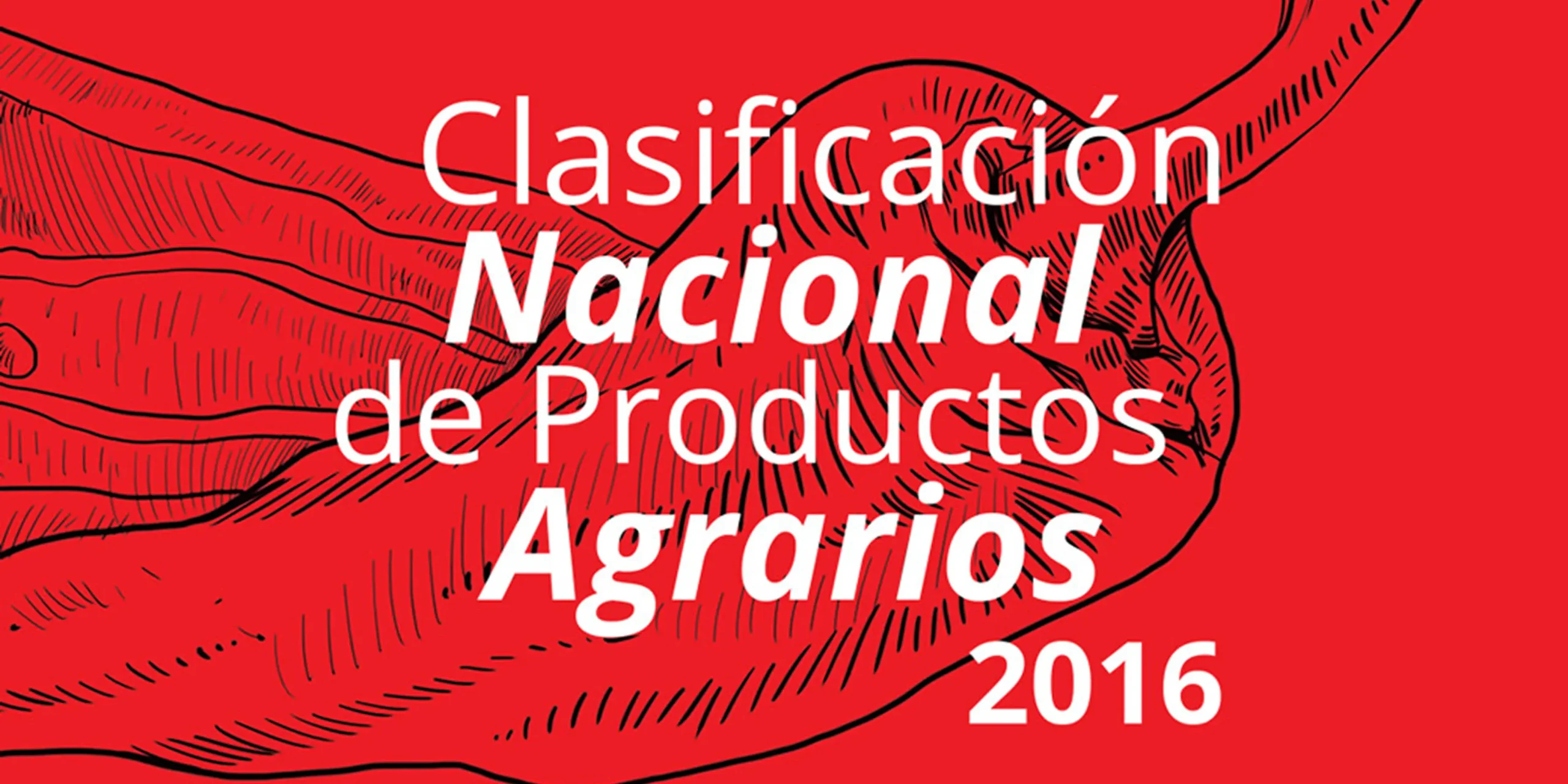 grupo_29_1