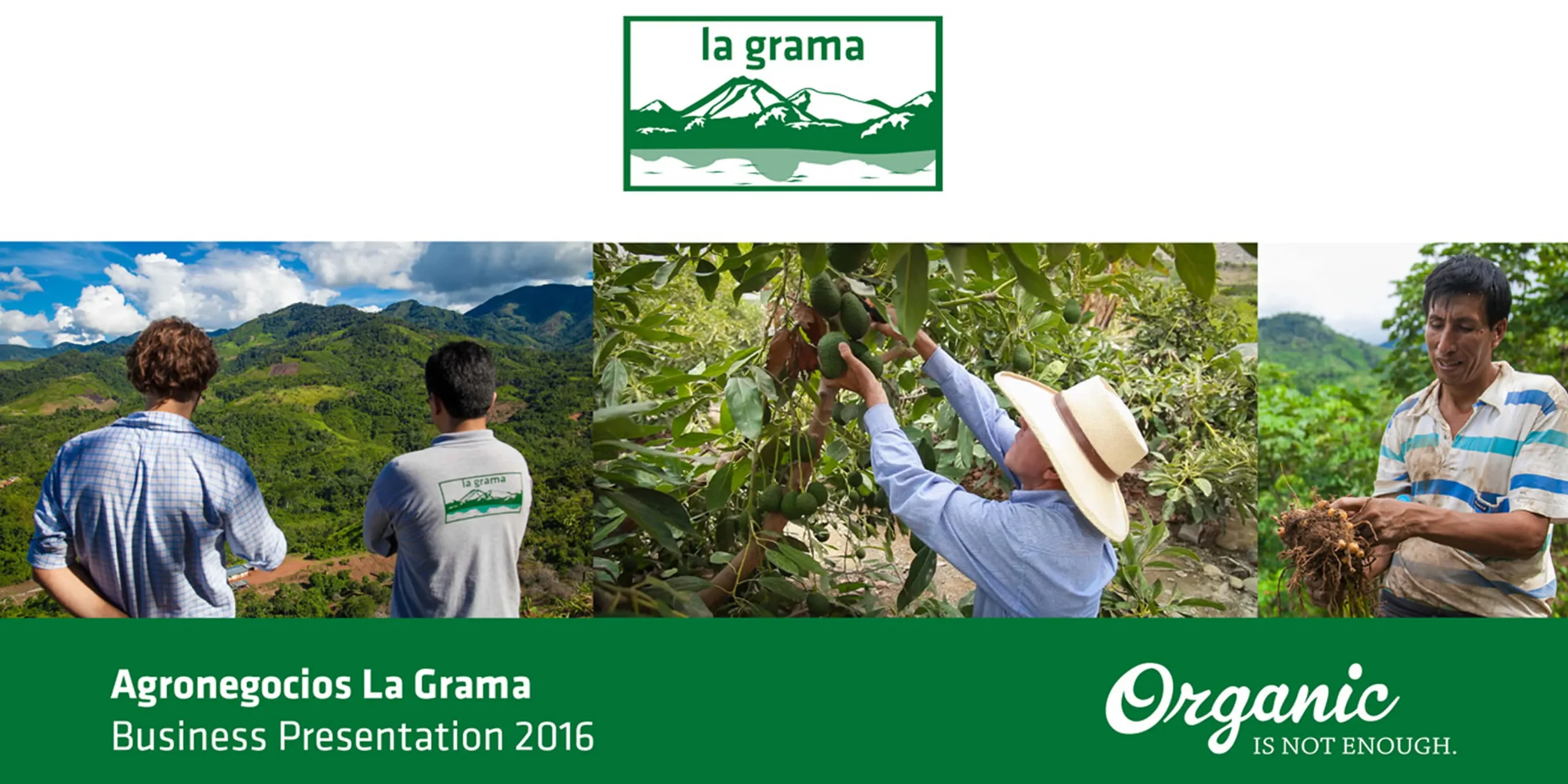 la_grama_01