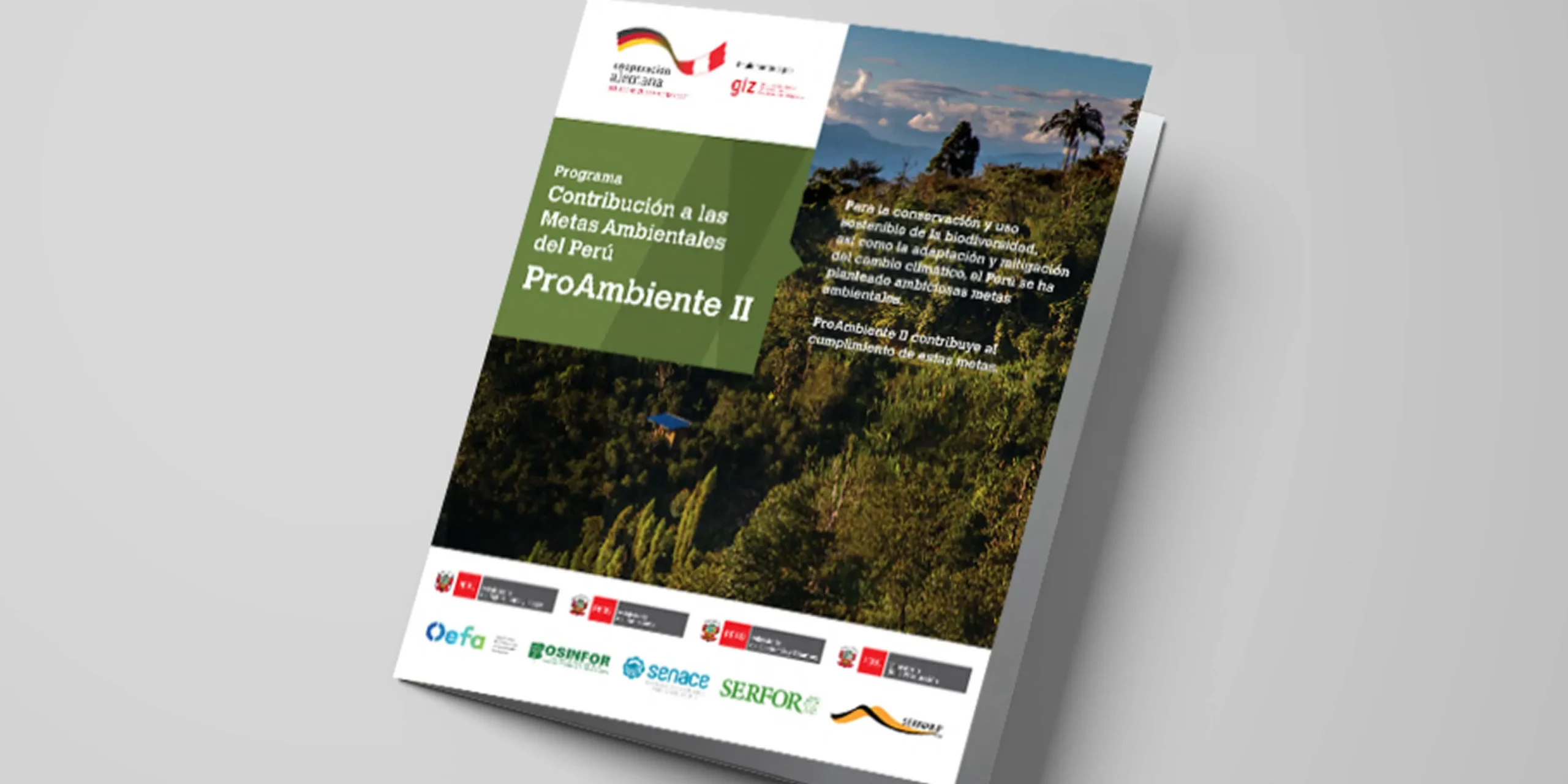 pro_ambiente_02