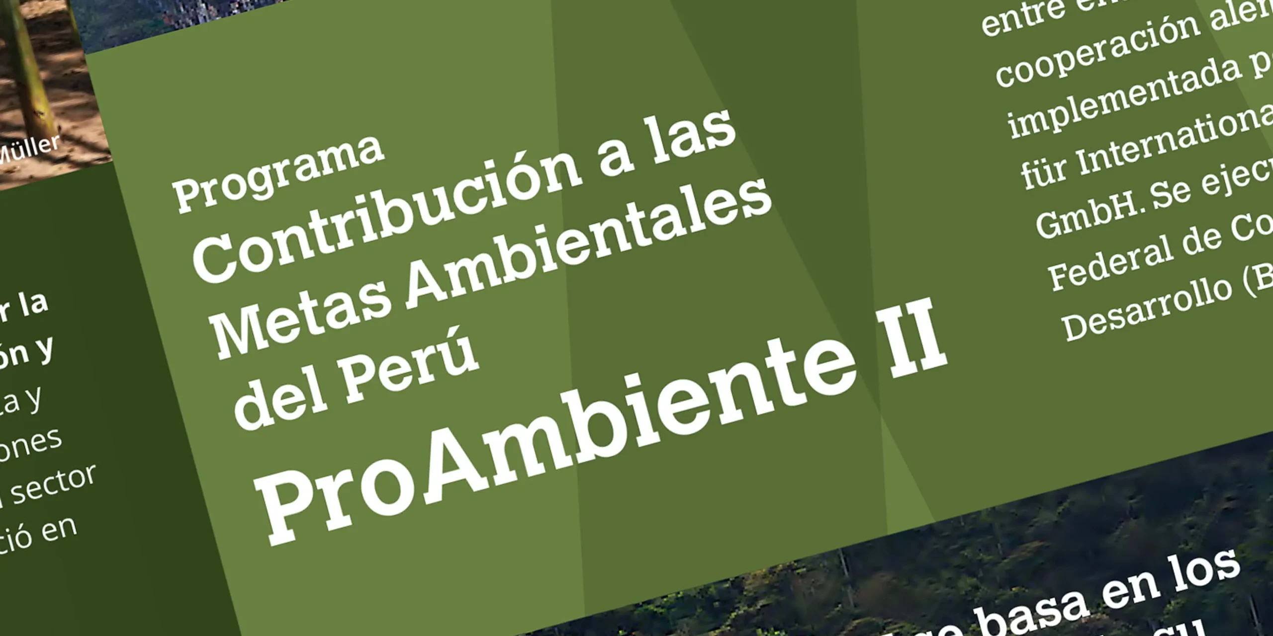 pro_ambiente_03