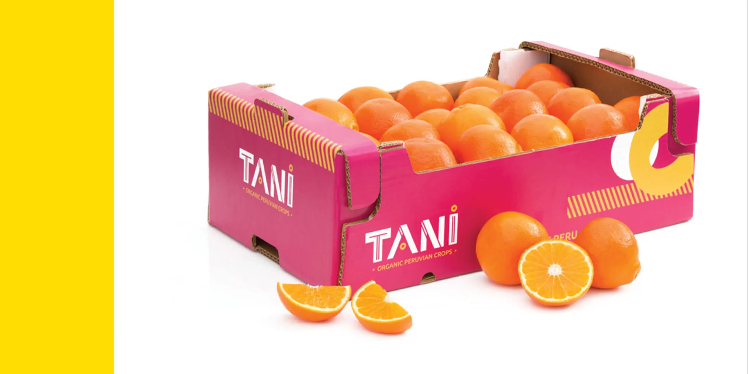 tani_02