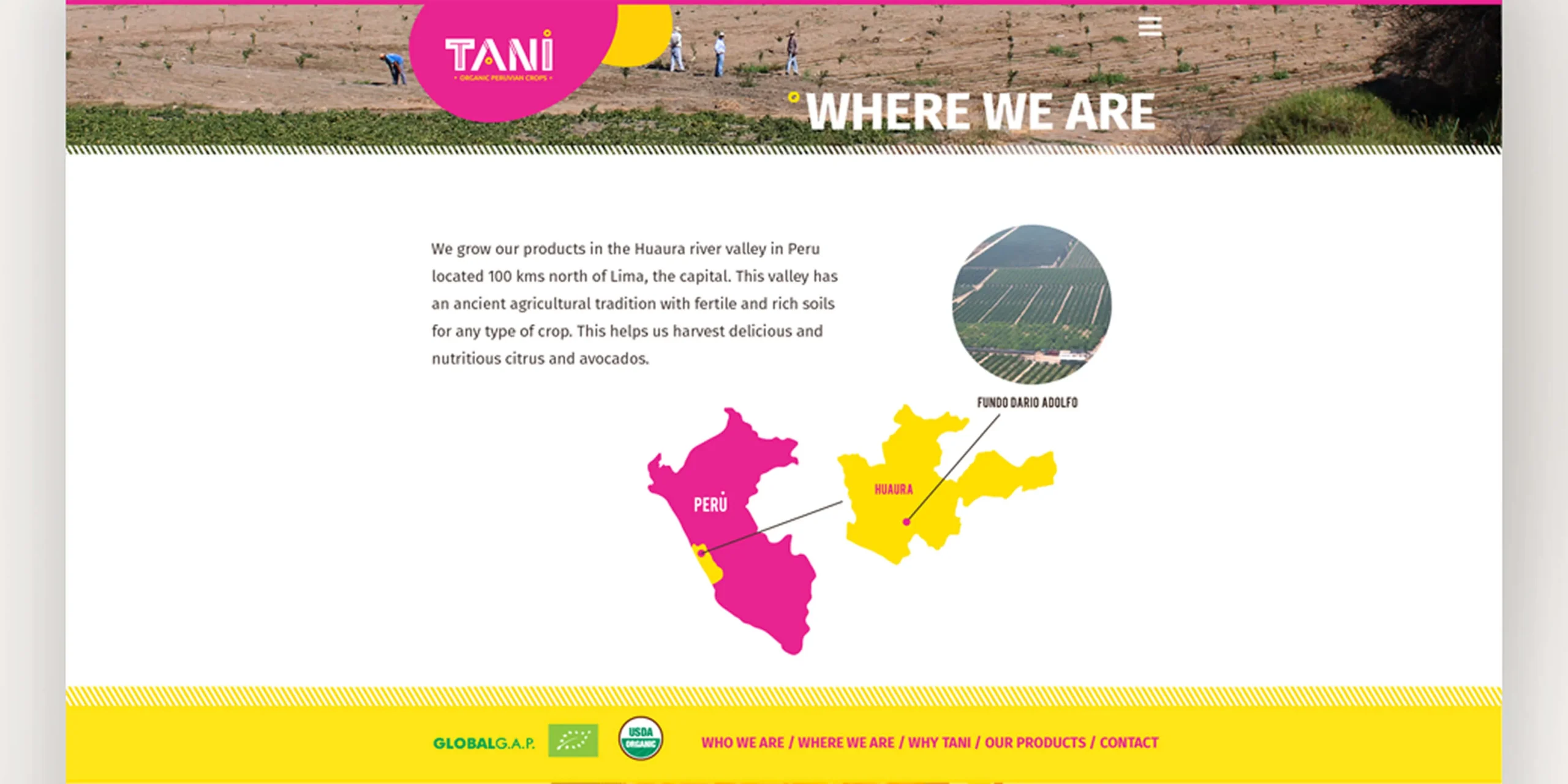 tani_03