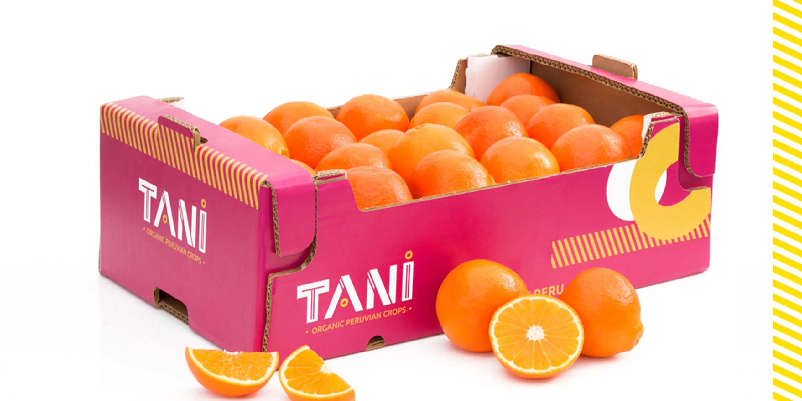 tani_08