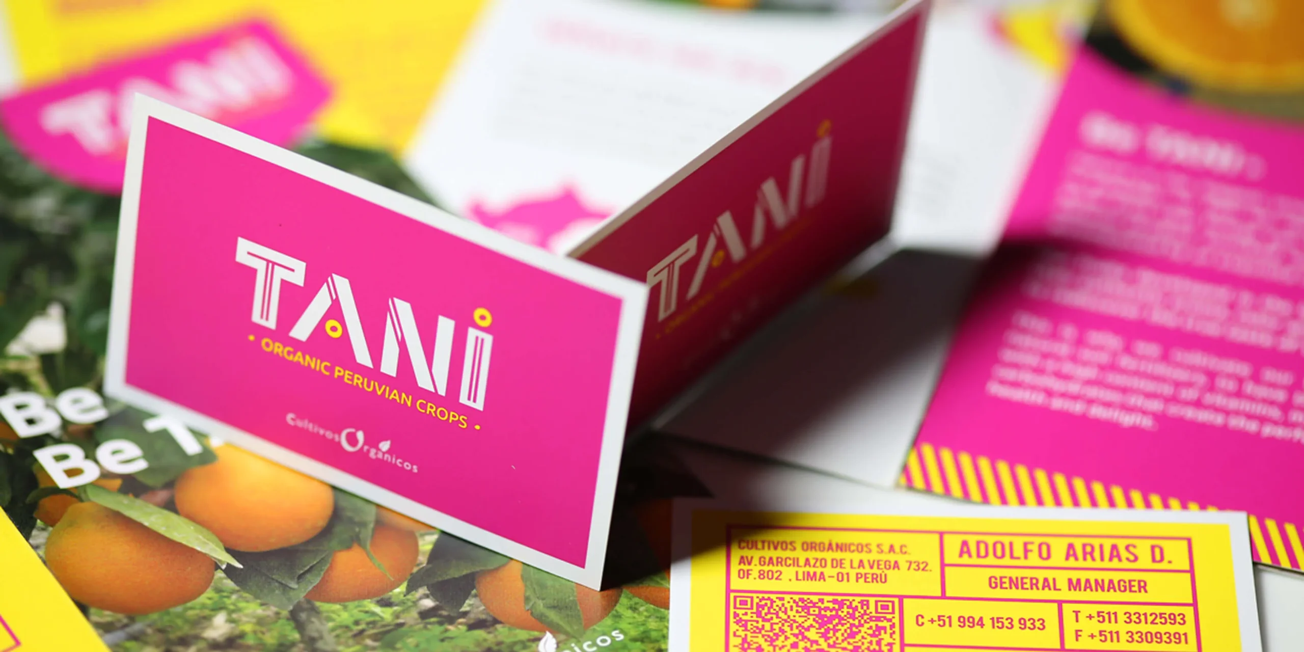 tani_14