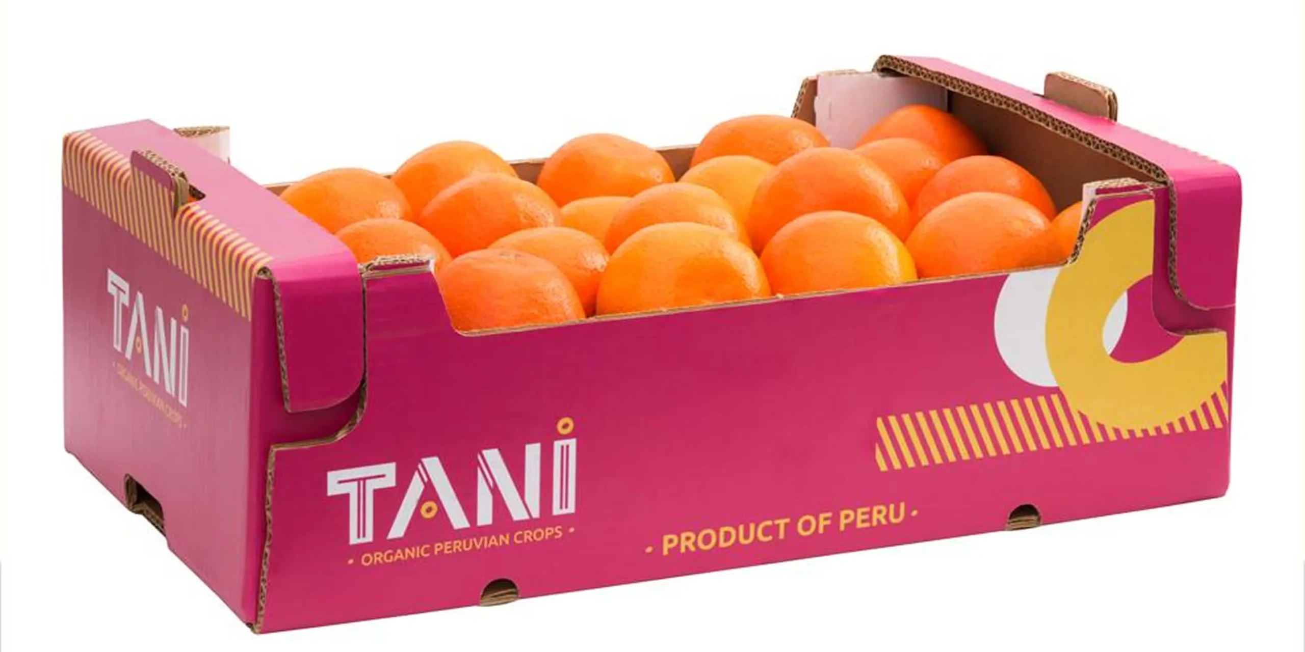tani_19