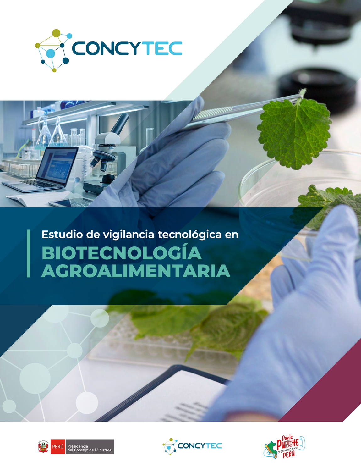 periferica_concytec_bioalimentaria