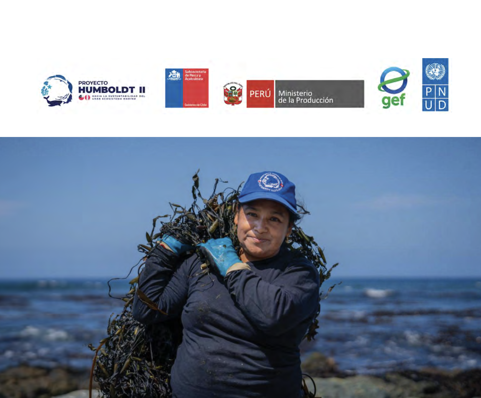 Screen Shot 2025-12-20 at 12.10.52